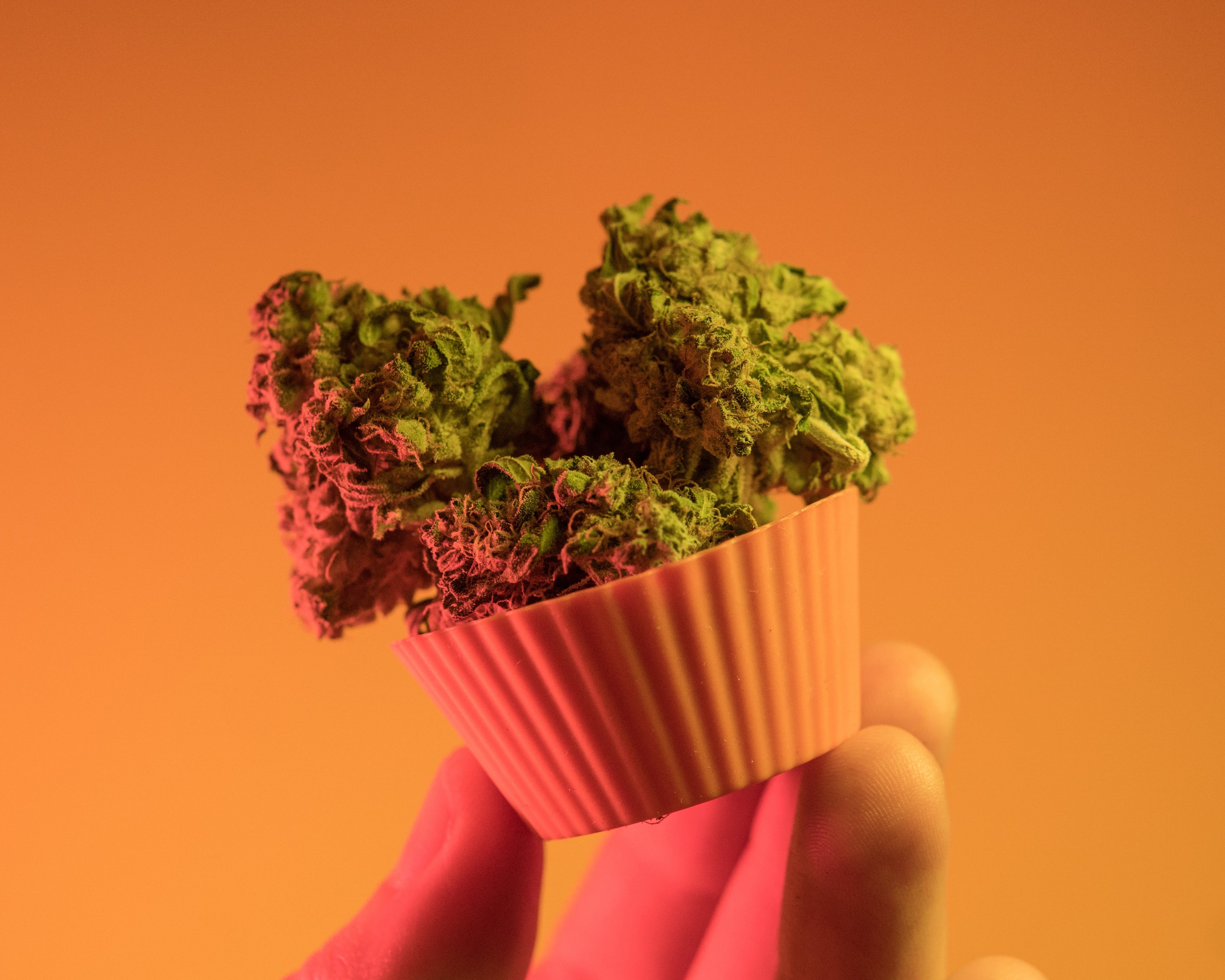 how long do edibles take to kick in