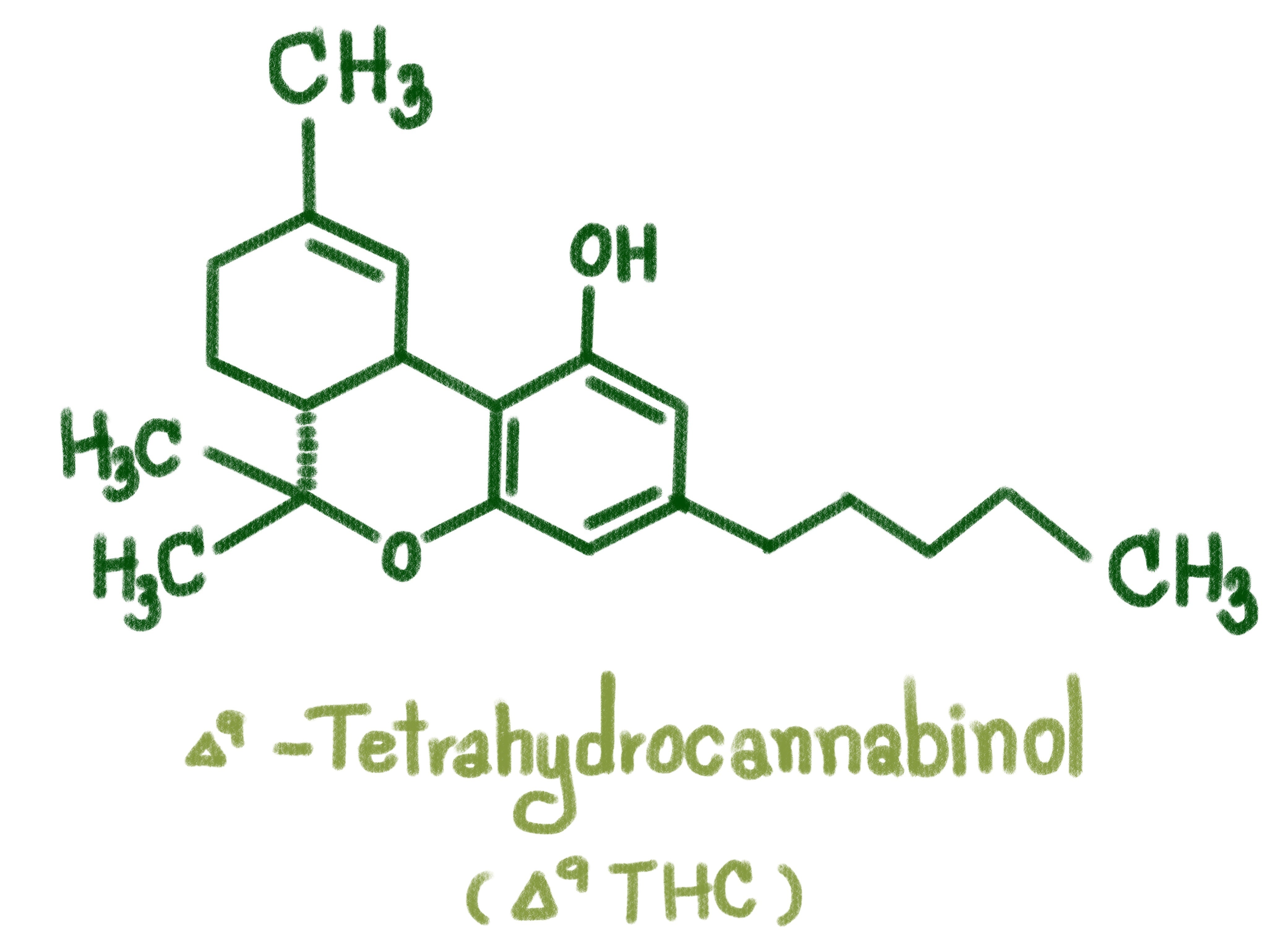 is delta 9 sativa or indica