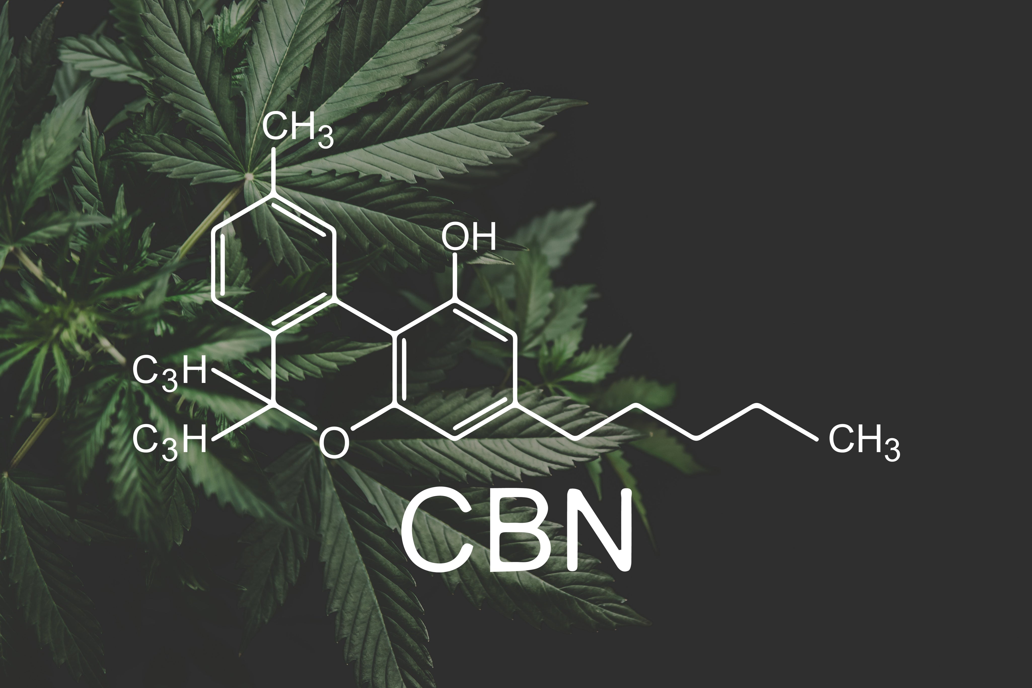 what is cbn