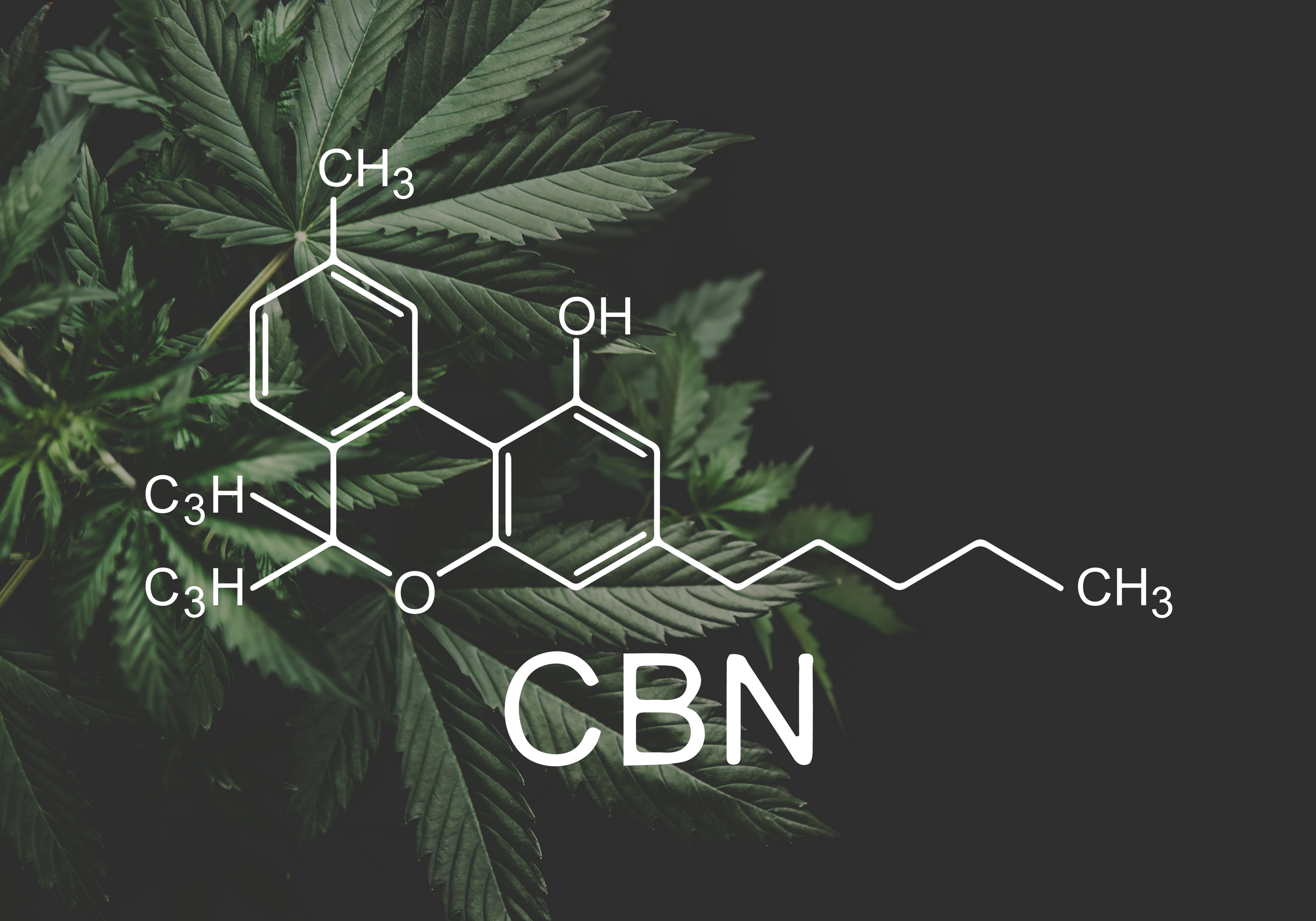 what is cbn