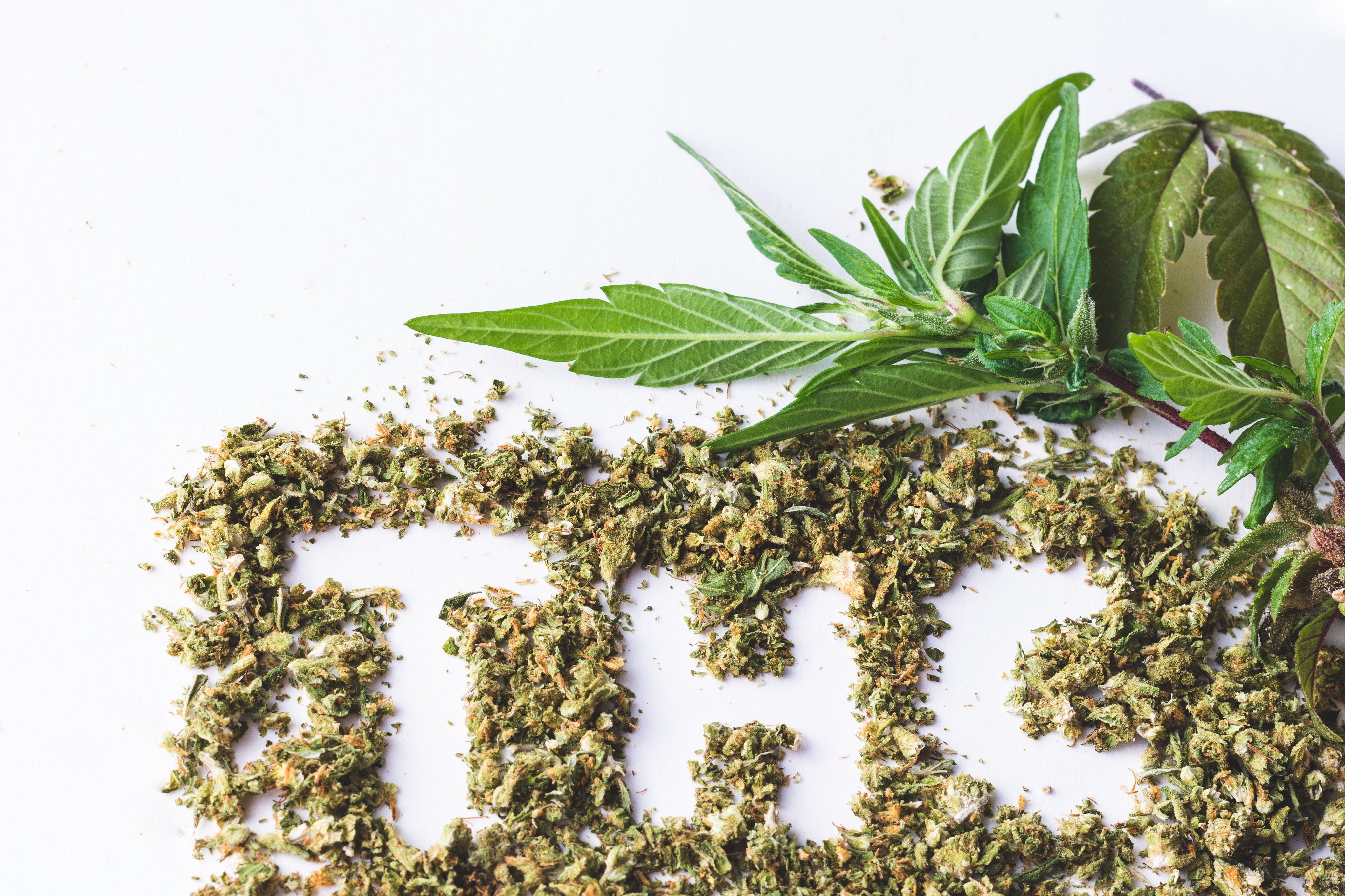 what is thc seltzer
