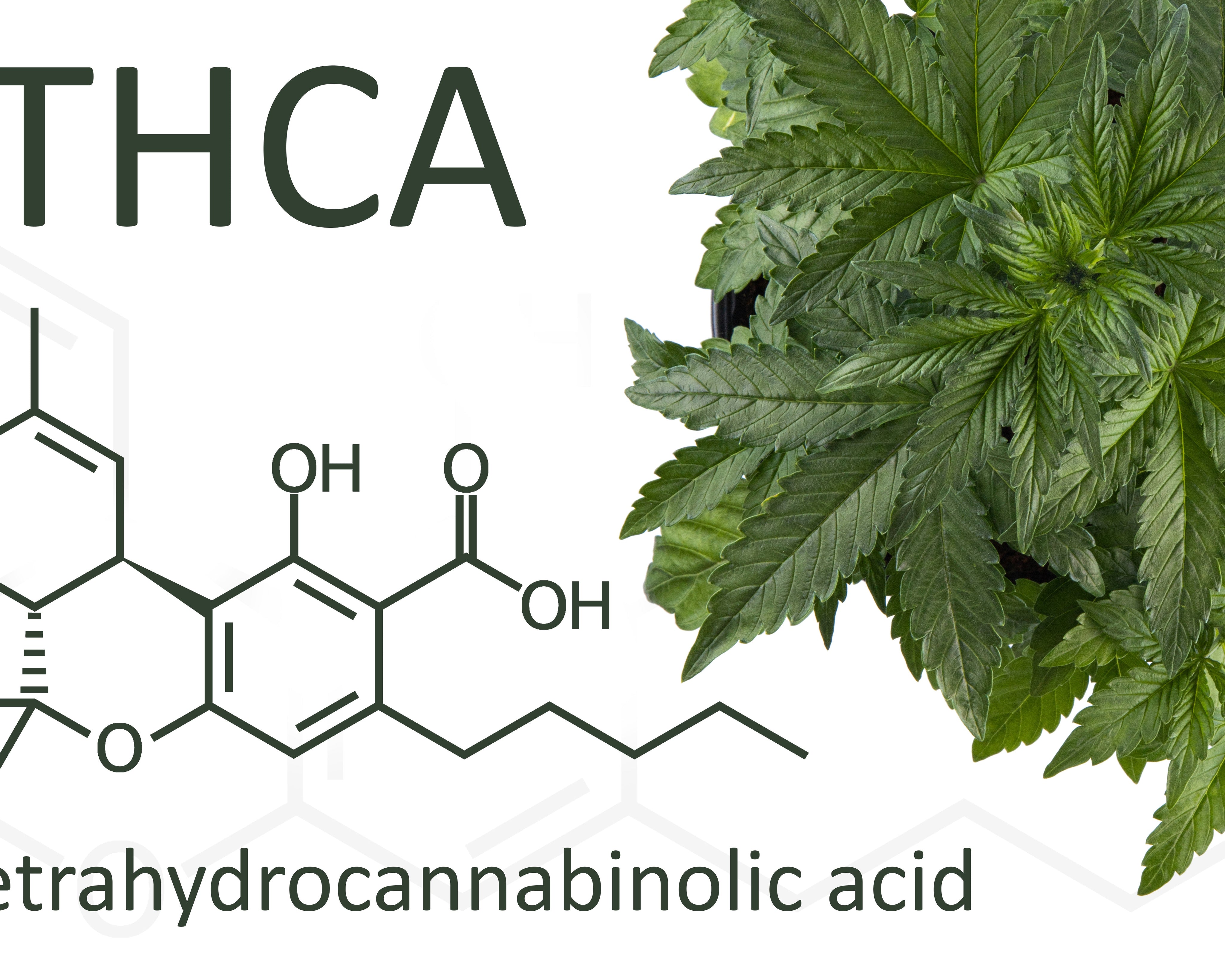 best thca brands