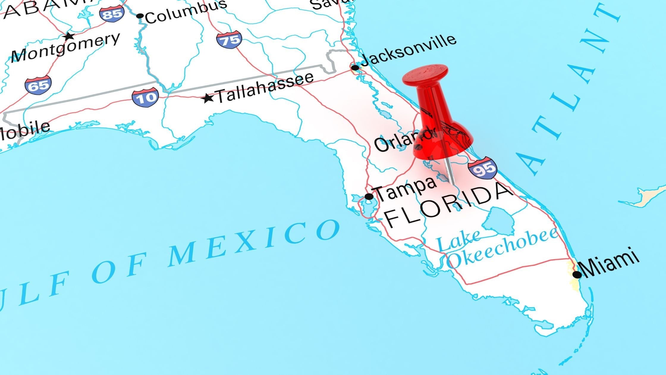 Are Mushroom Gummies Legal in Florida