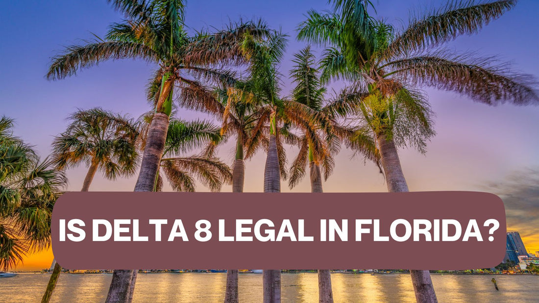 Is Delta 8 Legal in Florida