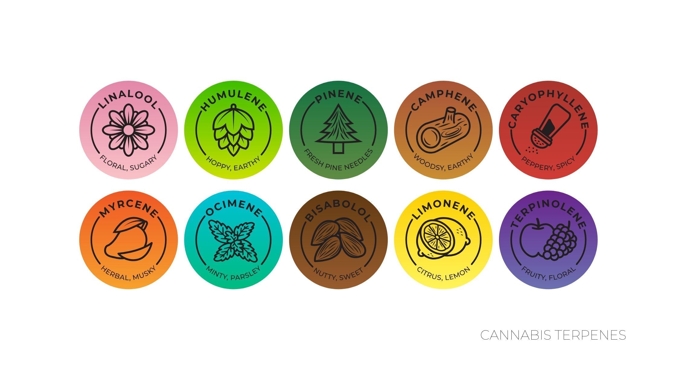 the best cannabis terpenes