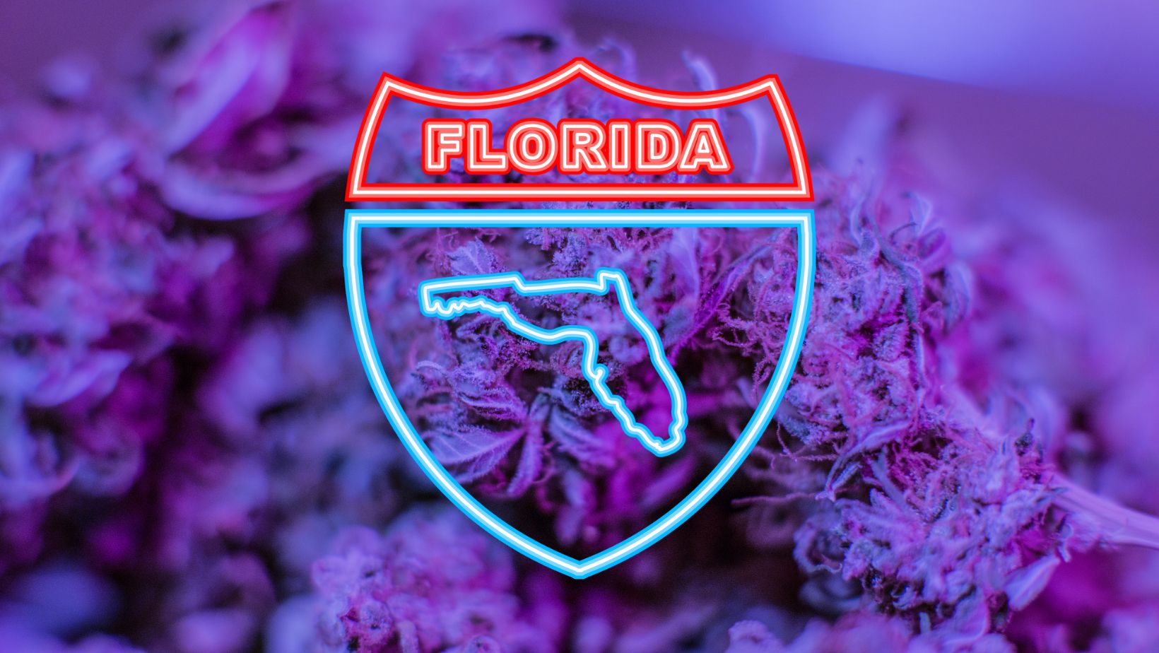 Is THCA Legal in Florida