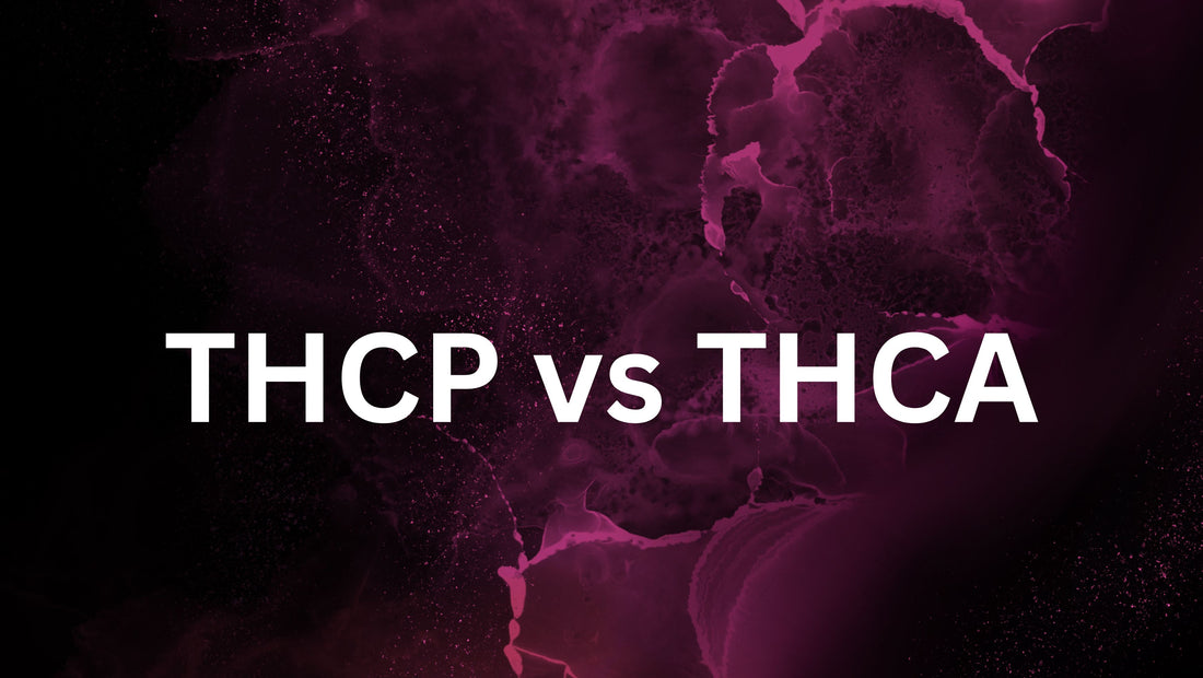 THCP vs THCA