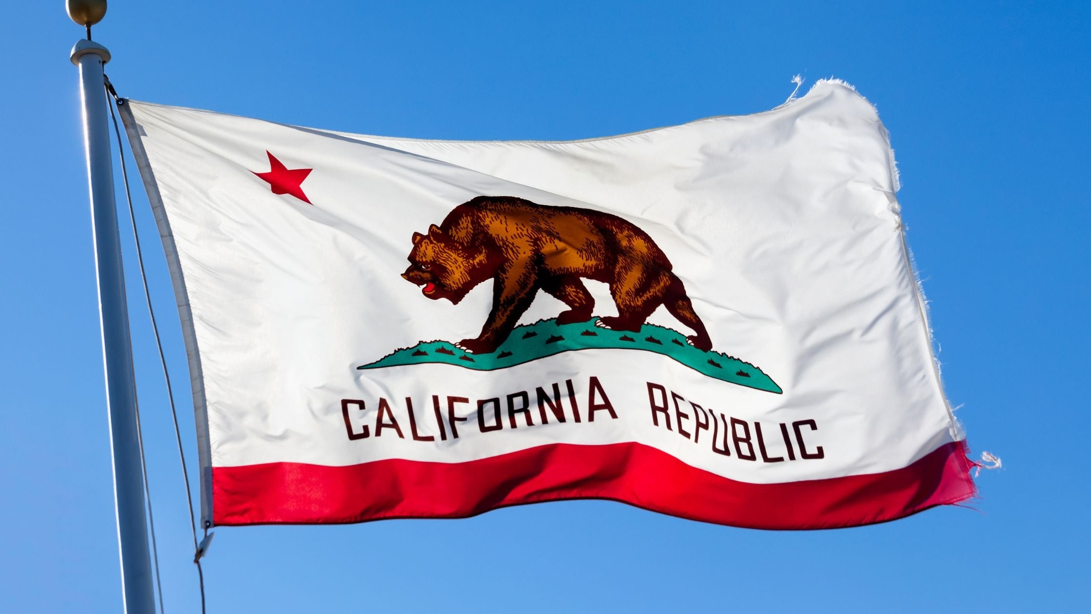 Are Mushroom Gummies Legal in California