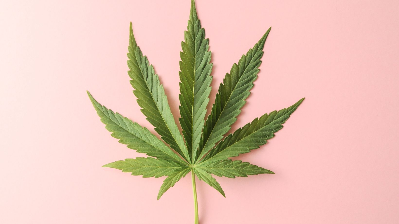how many grams in an ounce of cannabis