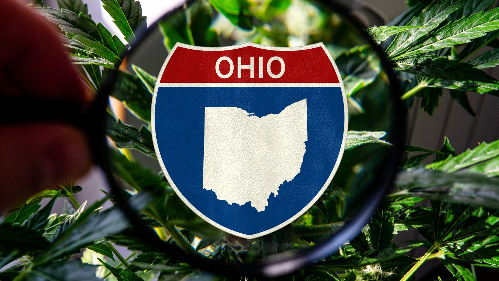 Is Delta 9 Legal in Ohio