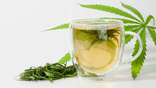 cannabis tea