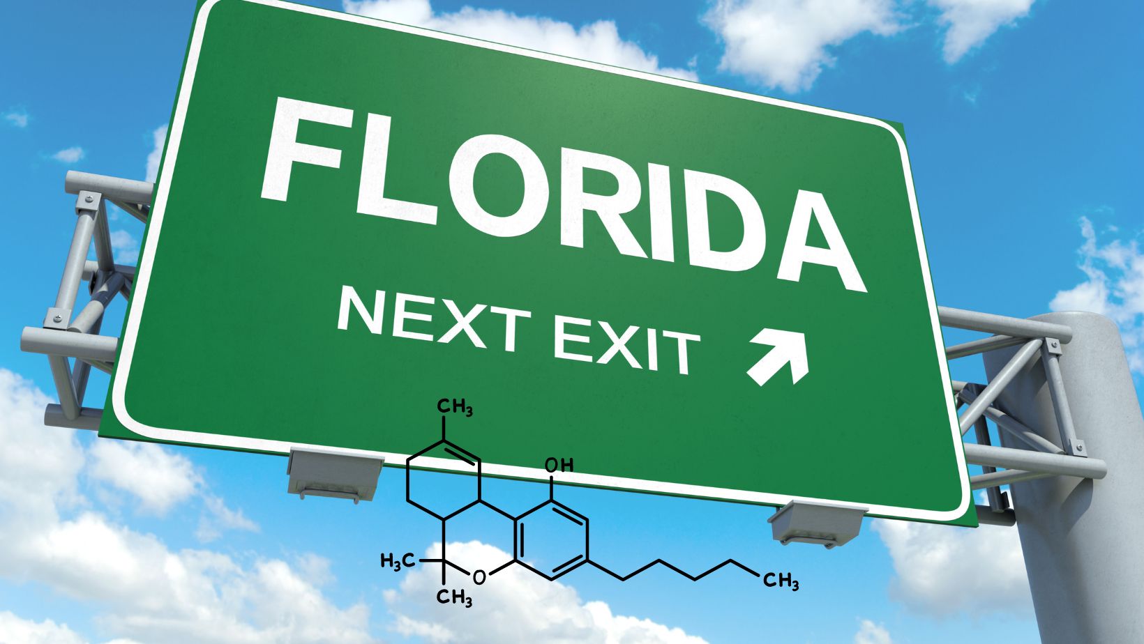 Is Delta 9 Legal in Florida