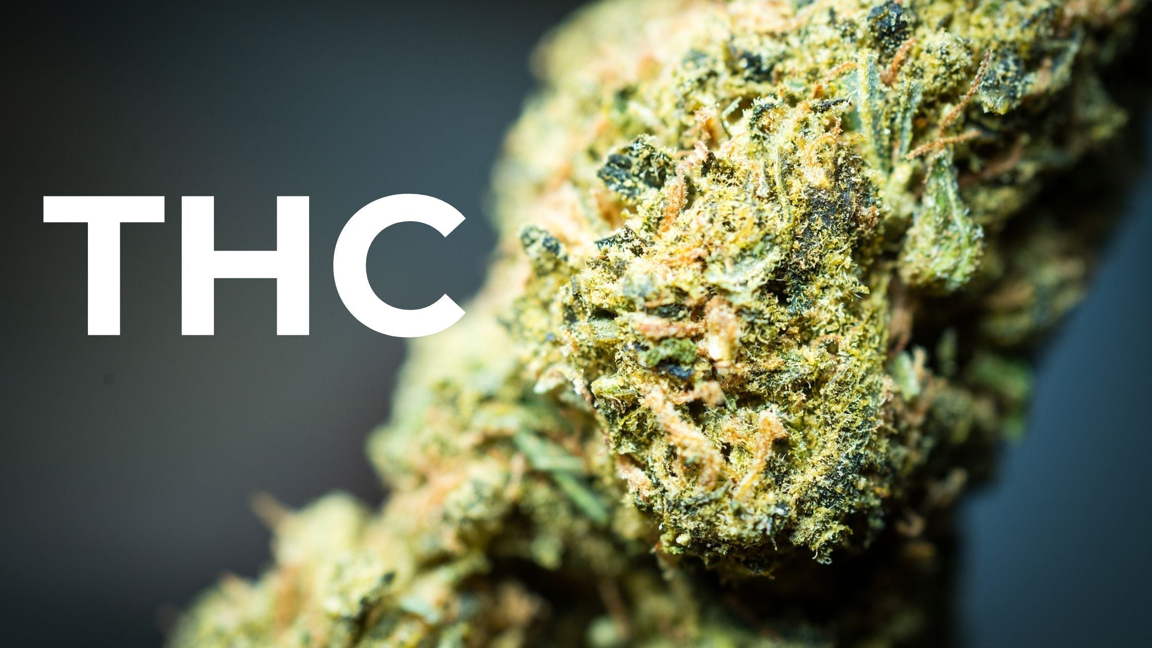 what is thc