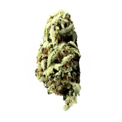 High Grade Flower – 20 Pack (1g Each)