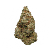 High Grade Flower – 20 Pack (1g Each)