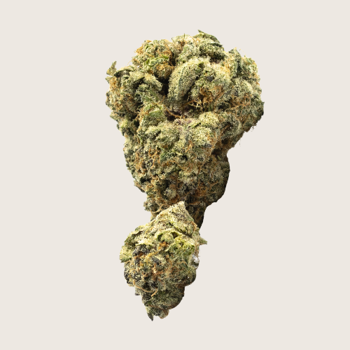 Bacio Gelato Flower