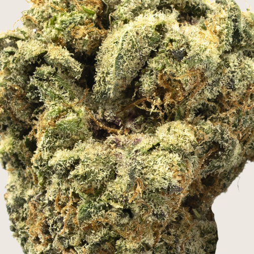 Bacio Gelato Flower