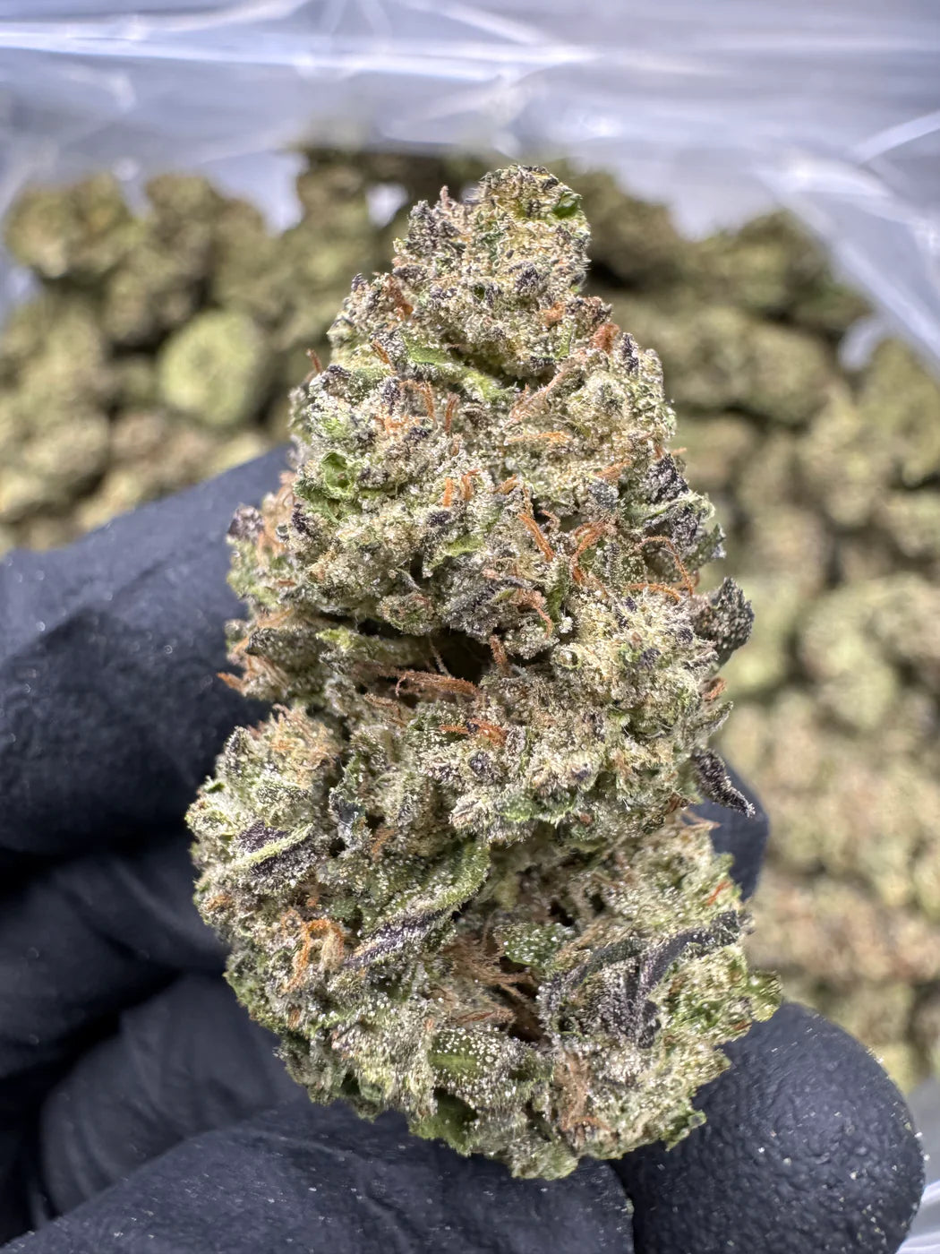 Hash Burger - THCA - Topshelf
