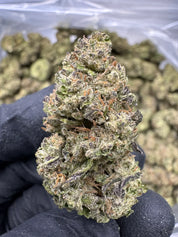 Hash Burger - THCA - Topshelf