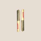 House of Wise Blue Dream: Orgasmic Pre Roll (Minis 3 Pack)