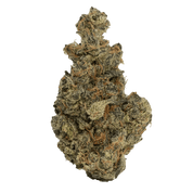 LIVING SOIL | THCA FLOWER | OISHII #13