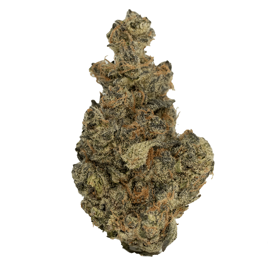 LIVING SOIL | THCA FLOWER | OISHII #13