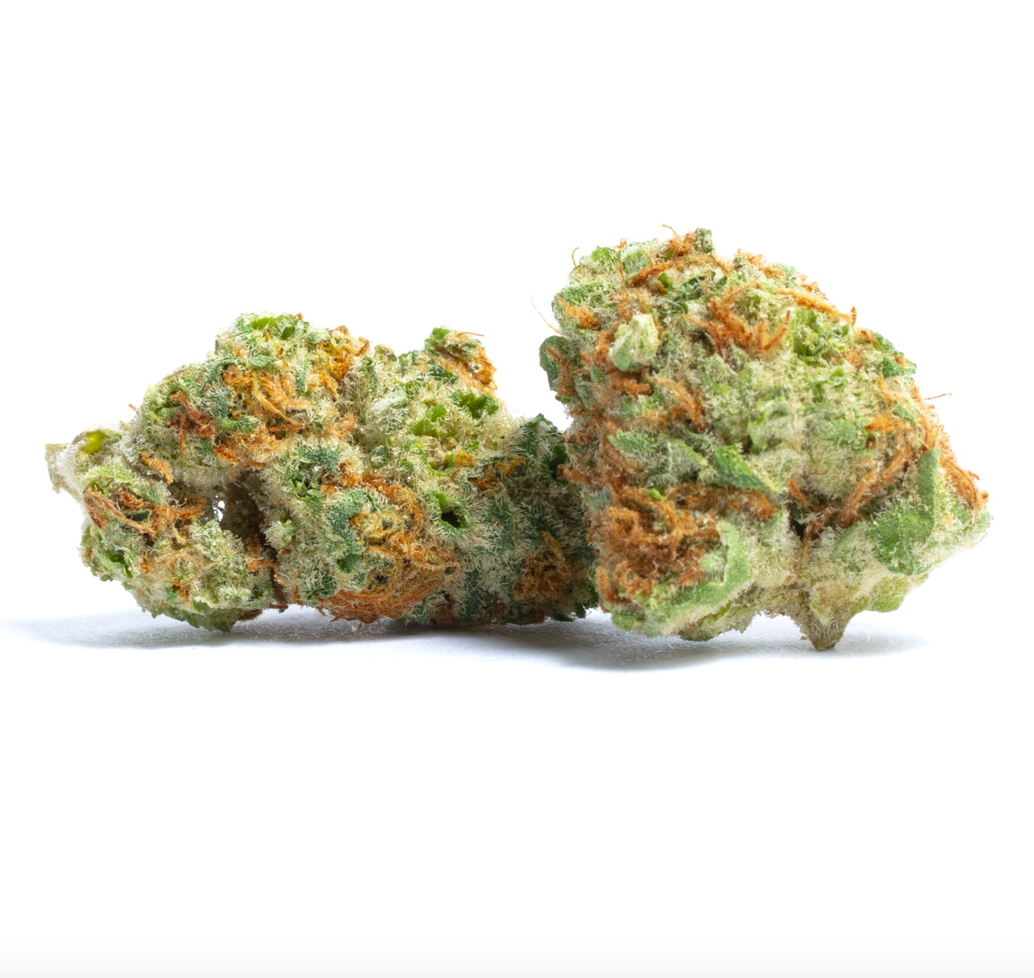 Papaya - Hybrid
