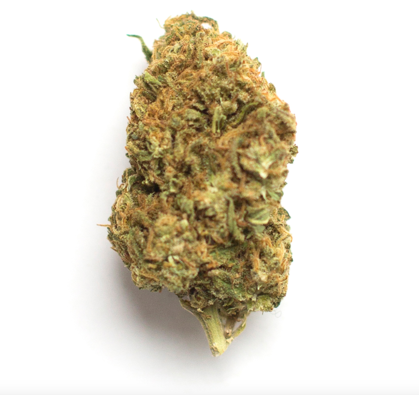 Ice Cream Cake - Hybrid