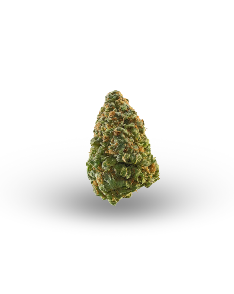 Cherry Gushers - Hybrid