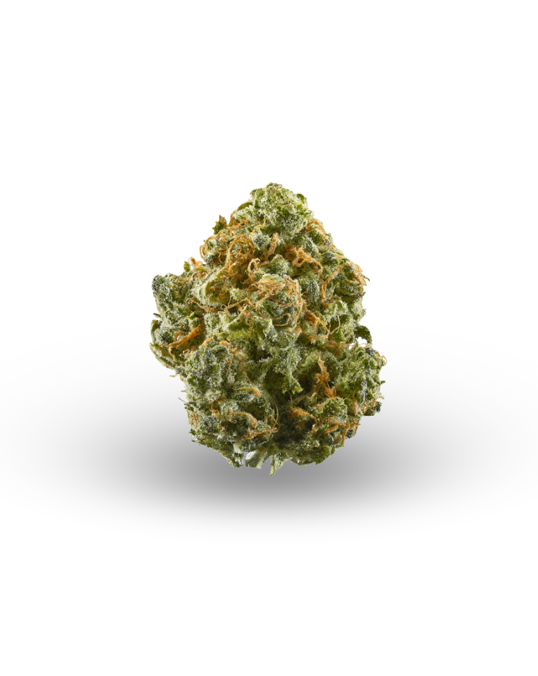 Zeclair - Hybrid