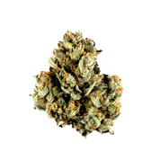 Sticky Green | Caviar Collection THCA Pre Rolls