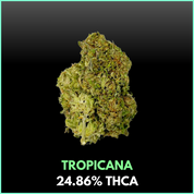 BULK FLOWER