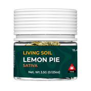 LIVING SOIL | THCA FLOWER | LEMON PIE