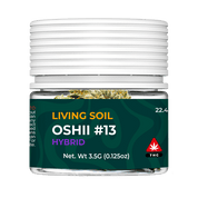LIVING SOIL | THCA FLOWER | OISHII #13