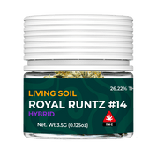 LIVING SOIL | THCA FLOWER | ROYAL RUNTZ #14