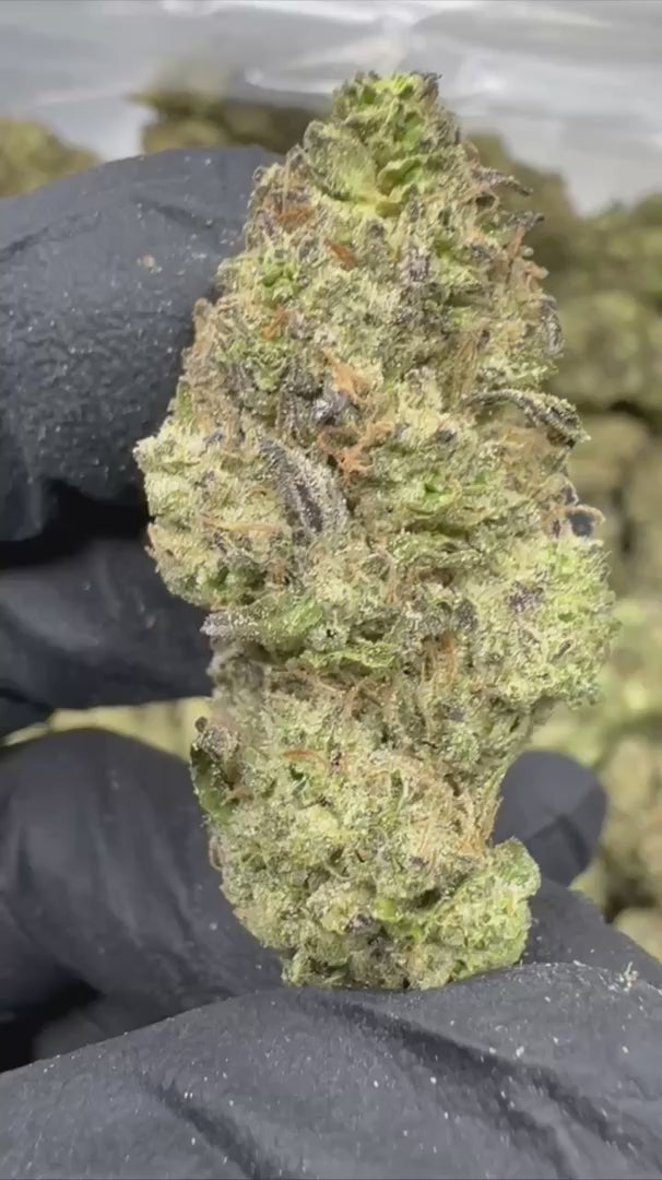 Hash Burger - THCA - Topshelf