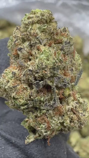 Garlic Mintz - THCA - Topshelf