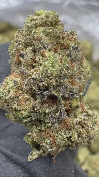 Garlic Mintz - THCA - Topshelf