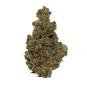 LIVING SOIL | THCA FLOWER | WATERMELON OG